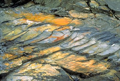 (SG23) Kink folds in slate near Shelburn, VT