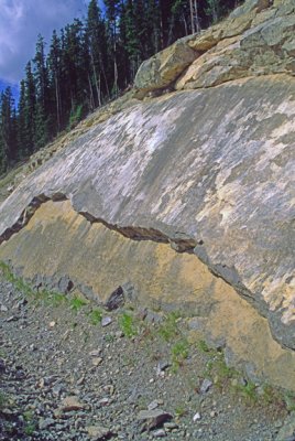 (SG25) Slickensides on a fault plane surface, Jasper National Park, Alberta, Canada
