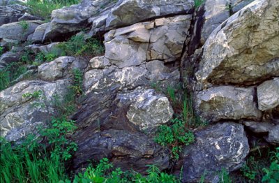 (SG39) Detail of fault boundary showing limestone block incorporated within mylonite, Bennington, VT