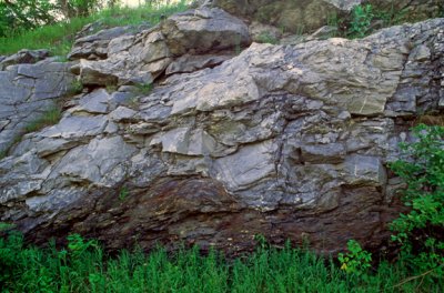 (SG38) Taconic thrust fault boundary showing limestone over mylonite, Bennington, VT