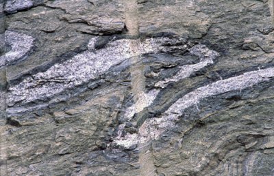 (SG44) Ptygmatic fold, metamorphosed volcanic ash in Gouverneur Marble, Canton, NY