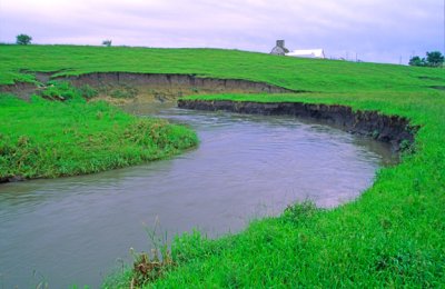 (STRE17) Cutbanks along a small stream, IA