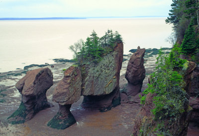Low tide at the Bay of Fundy, The Rocks Provincial Park, New Brunswick, Canada