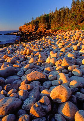 Cobble beach at Otter Cliffs, Acadia National Park, ME