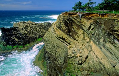 Sea cliff and wave cut bench, Shore Acres State Park, Coos Bay, OR