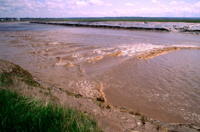 Tidal Bore on the Petticodiac River, Moncton, New Brunswick, Canada