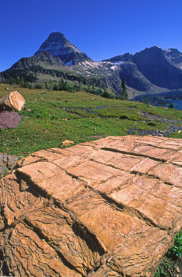 (STRA7) Mudcracks in the Proterozoic Snowslip Fm., Logan Pass, Glacier National Park, MT