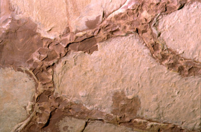 (STRA10) Top view mudcracks.
