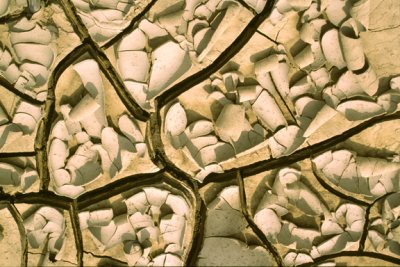 (STRA14) Recent mudcracks and mud curls, IL