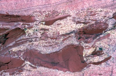 (STRA15) Mudchips in Proterozoic Grinnell Fm., Glacier National Park, MT