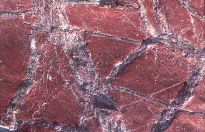 (STRA16) Mudcracks in the Proterozoic Grinnell Fm., Glacier National Park, MT