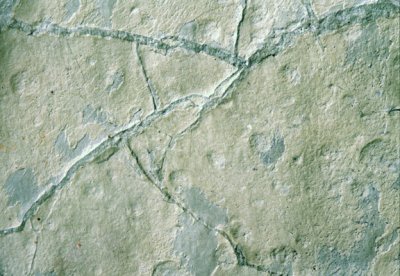 (STRA13) Raindrop imprints and mudcracks in the Proterozoic Appekunney Fm., Glacier National Park, MT
