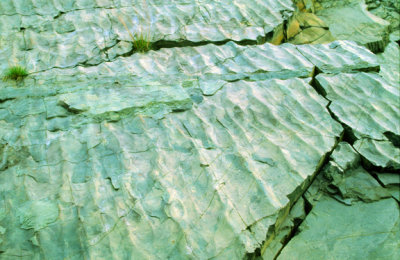 (STRA18) Symmetrical ripple marks in the Proterozoic Lorrain Fm., Desbarats, Ontario, Canada