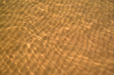 (STRA19) Asymmetrical ripple marks in sand caused by the current of the Colorado River, Lees Ferry, AZ