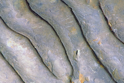 (STRA20) Asymmetrical ripple marks with current from right to left.