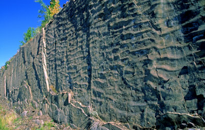 (STRA22) Asymmetrical ripple marks (current from top to bottom) on sandstone tilted on end, Ontario, Canada