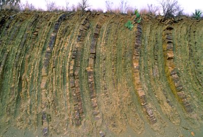(STRA34) Turbidites in Mississippian Tesnus Fm. near Marathon, TX