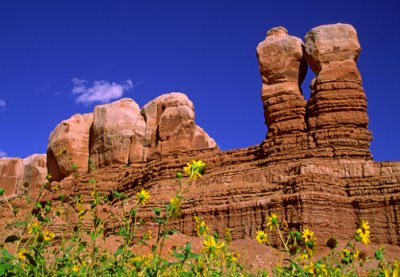 Navajo Twins show differences in bedding of Jurassic Bluff Ss. (massive) and Summerville Fm. (thin), Bluff, UT