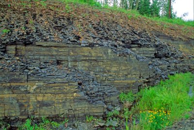 (STRA42) Proterozoic Gunflint Chert contains cyanobacteria 1.9 BY old, Kakabek Falls, Ontario, Canada