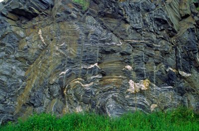 Slate in the Devonian Waits River Fm., Barre, VT