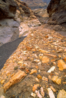 (STRA43) Debris flow breccia in Mosaic Canyon, Death Valley National Park, CA