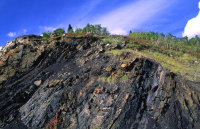 (STRA44) Coal in the Jurassic Fernie Fm., Alberta, Canada
