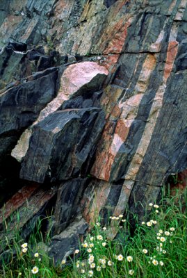 Migmatite with well developed lit par lit structure, White River, Ontario, Canada