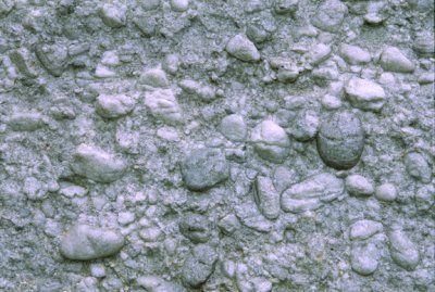 (STRA47) Quartz pebbles with mostly high roundness and moderate sphericity, Pennsylvanian Potsville Conglomerate, Scranton, PA