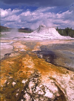 (GW8) Castle Geyser, Yellowstone National Park, WY