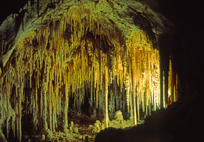(GW20) The Doll House, Carlsbad Caverns National Park, NM