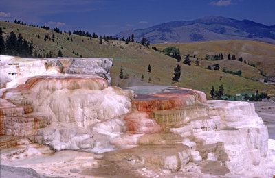 (GW17) Mammoth Hot Springs, Yellowstone National Park, WY