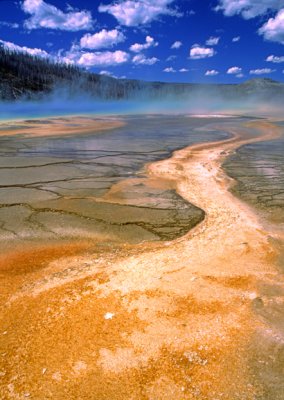 (GW12) Grand prismatic spring, Yellowstone National Park, WY
