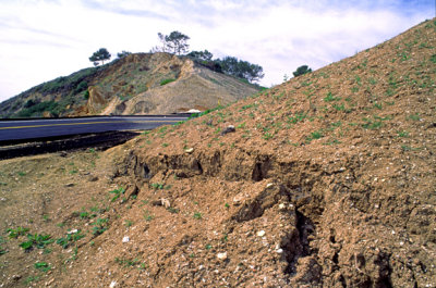 (MW4) Scarp along the edge of the Portuguese Bend translational slide, Palos Verdes Hills, CA