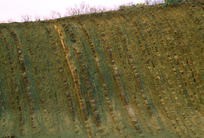 (MW5) Bending of beds downslope is evidence of soil creep in the Tesnus Fm., Marathon, TX