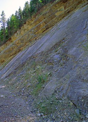 (MW23) Daylighted beds in the Precambrian Belt Series, East Glacier, MT