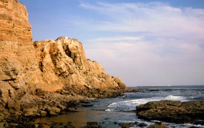 Rotational slump blocks at Point Fermin, CA