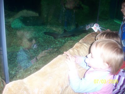 100_6032.jpg