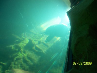 100_6036.jpg