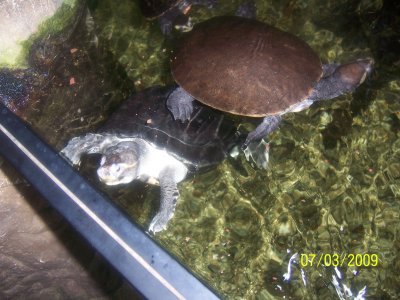 100_6049.jpg