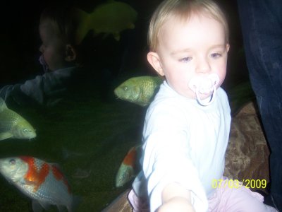 100_6056.jpg
