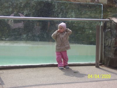 100_6118.jpg