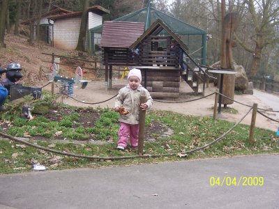 100_6123.jpg