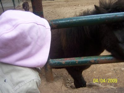 100_6130.jpg