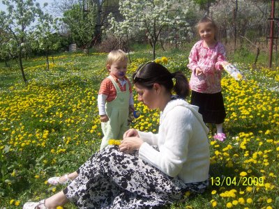 100_6211.jpg