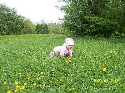 100_7055.jpg