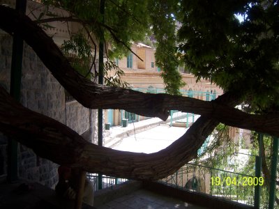 michi fotky iran 1 294.jpg