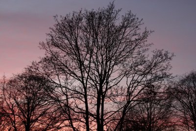 IMG_2178.JPG