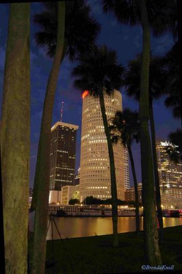 Tampa Night Lights-6365