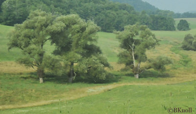 Appalachian Mountians Drive