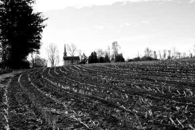 _DSC0021.jpg - ...and a time to reap ...